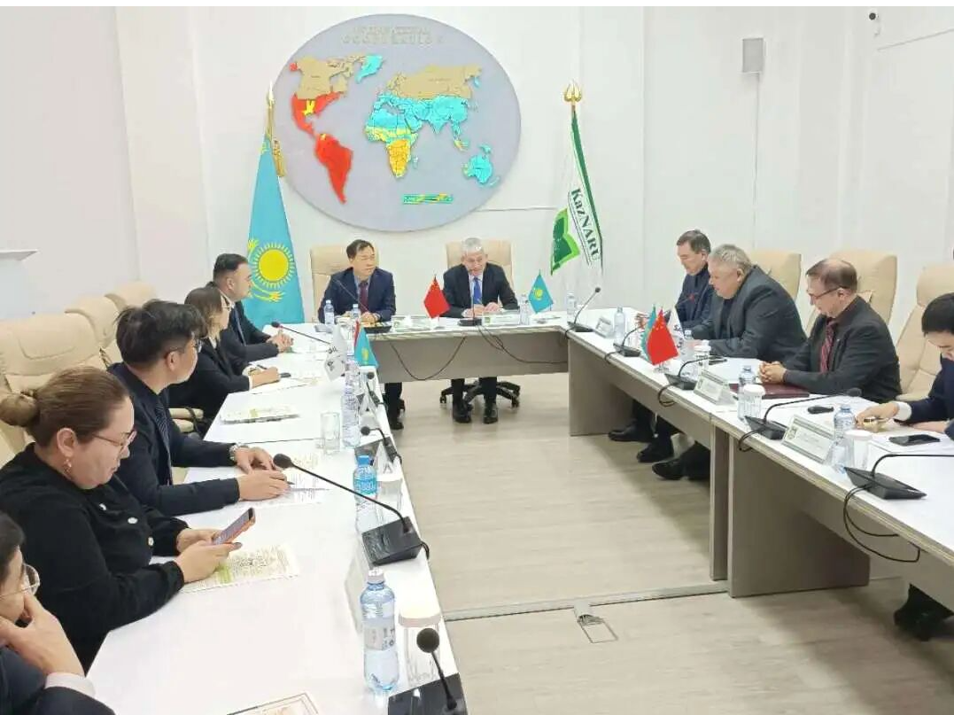 精準對接中亞資源，聚力深耕產業協同 | 中 ...